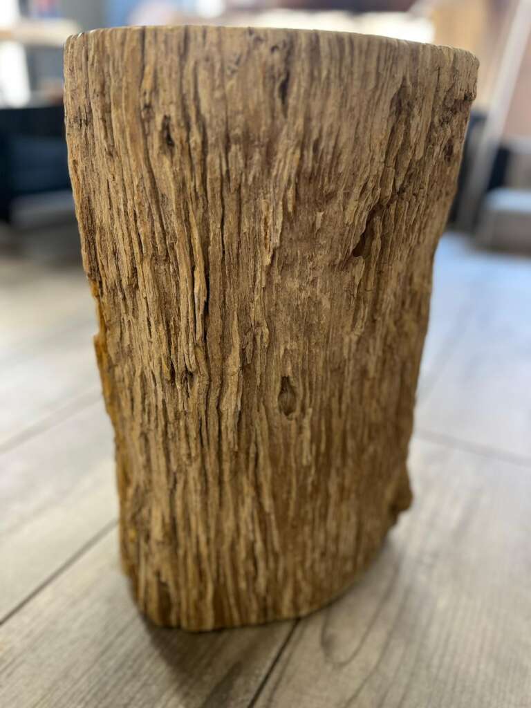 Tronc décoratif en bois fossilisé posé verticalement – Mazawood - Menuiserie