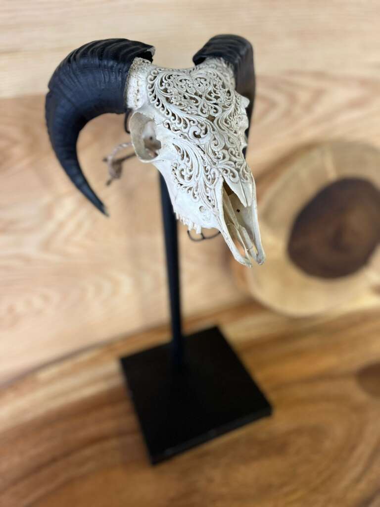 décoration intérieure tête de chèvre design brut – Mazawood