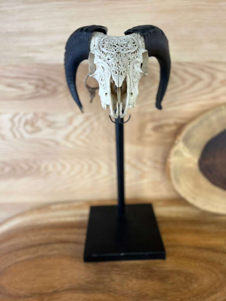 sculpture tête de chèvre artisanale sur pied en acier – Mazawood
