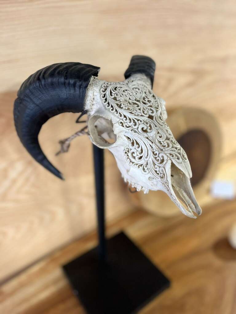 objet déco animalier tête de chèvre noire et ivoire – Mazawood
