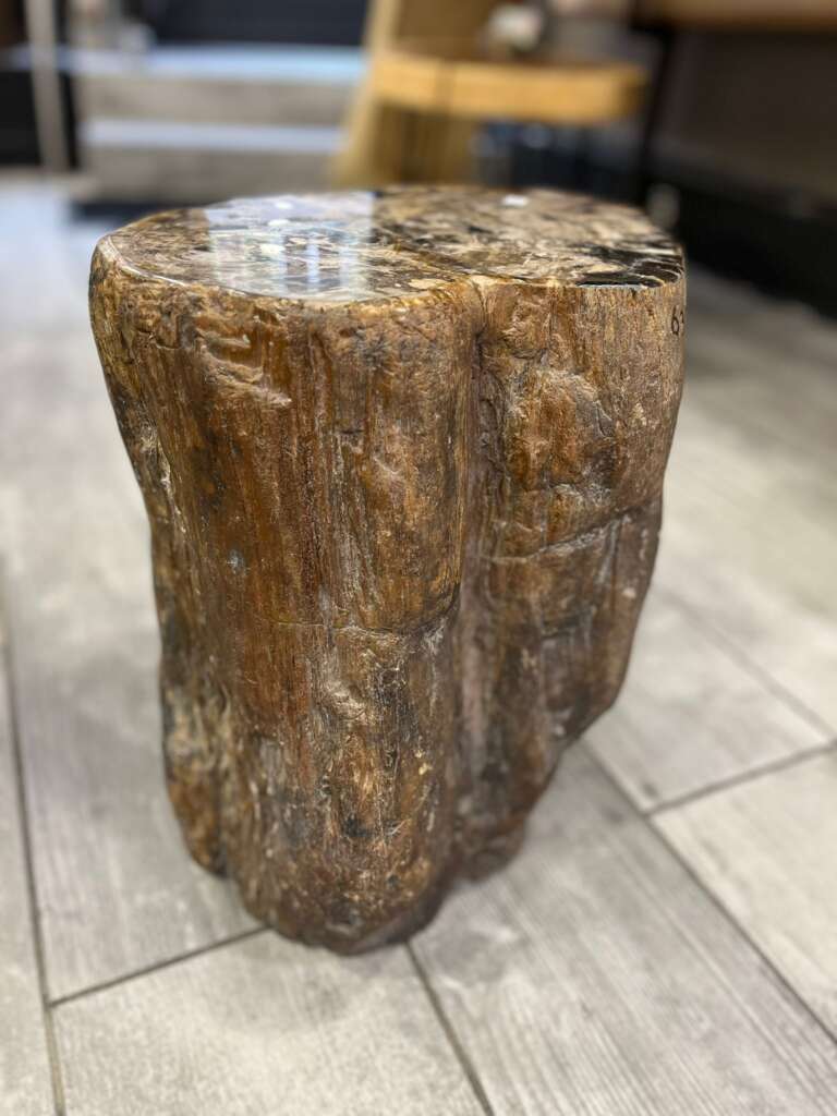 Tronc en bois fossilisé brun poli sur sol intérieur – Mazawood - Menuiserie