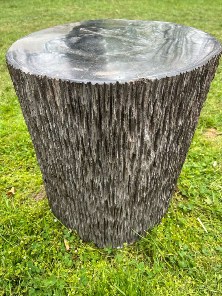 Tronc bois fossilisé noir 35 cm - vue profil - Mazawood - Menuiserie