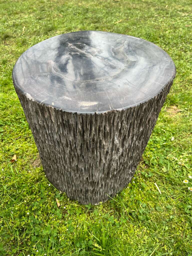 Tronc bois fossilisé 35 cm - Mazawood - Menuiserie