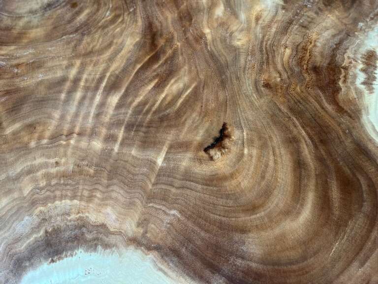 Vue détaillée de la table A9 en suar, formes organiques naturelles, Mazawood