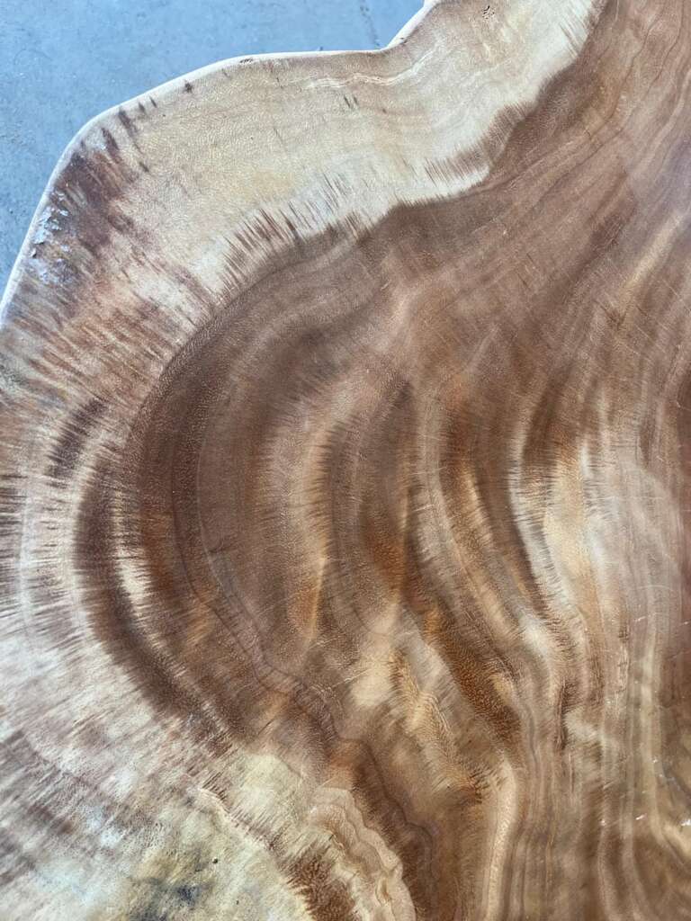 Détail du veinage naturel et formes brutes de la table basse A5 en suar, Mazawood