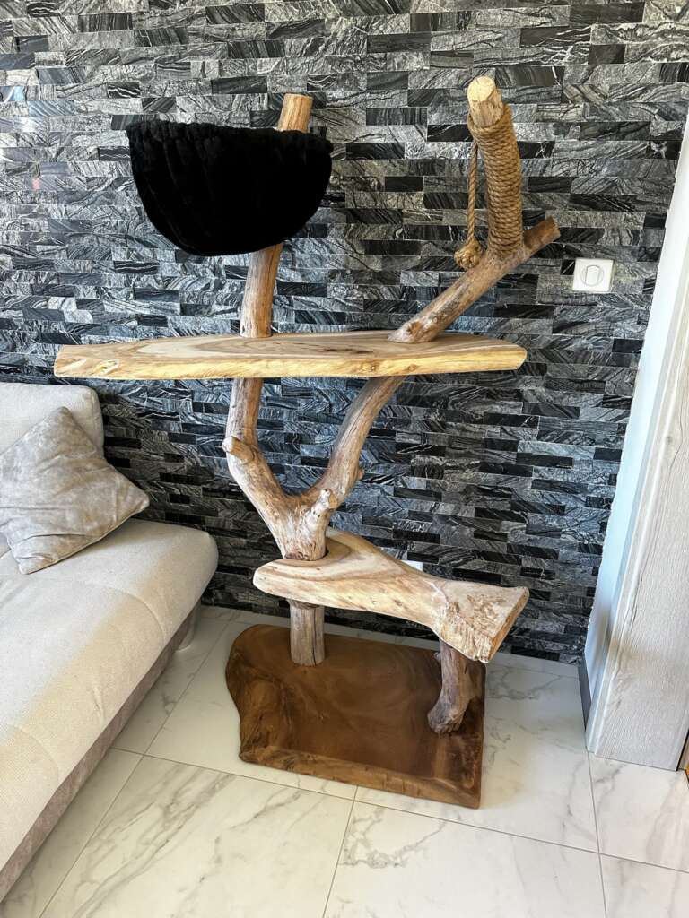 Arbre à chat en bois naturel sur commande – modèle unique