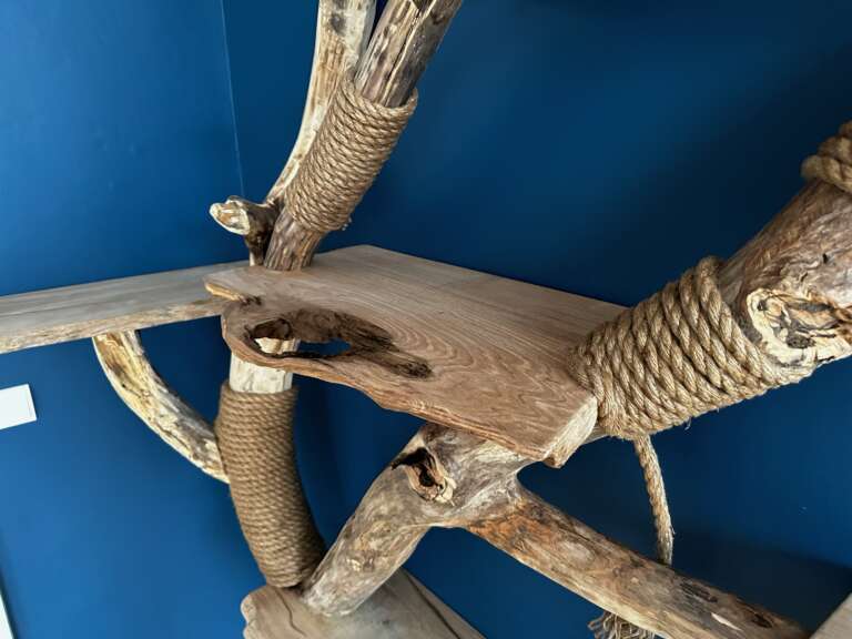 Projet arbre à chat personnalisé – design haut de gamme