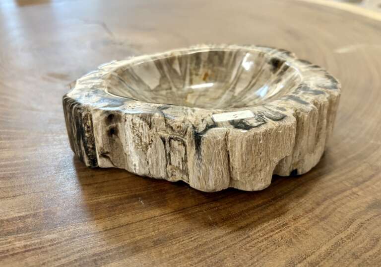 coupelle / vide poche / cendrier en bois fossilisé s