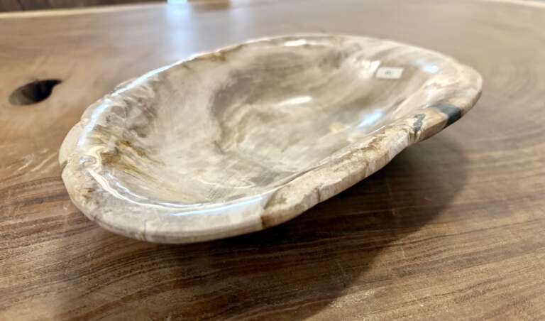 coupelle / vide poche / cendrier en bois fossilisé m2