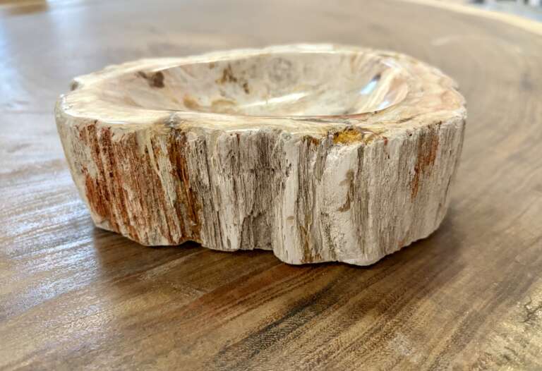 coupelle / vide poche / cendrier en bois fossilisé s2