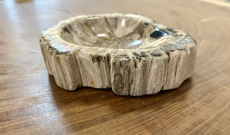 coupelle / vide poche / cendrier en bois fossilisé s
