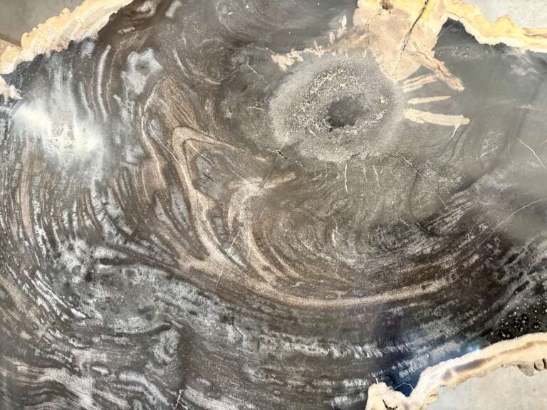 table basse en bois fossilisé