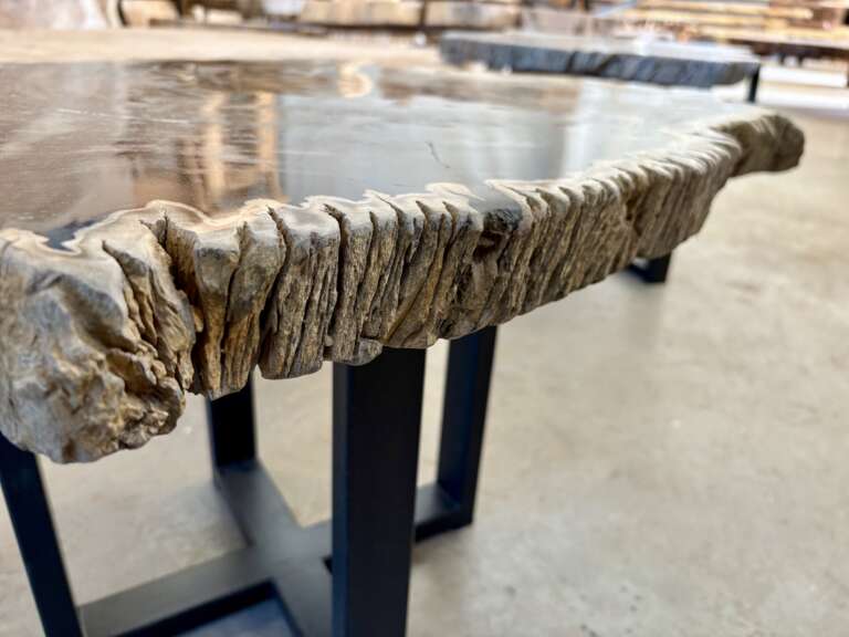 table basse en bois fossilisé