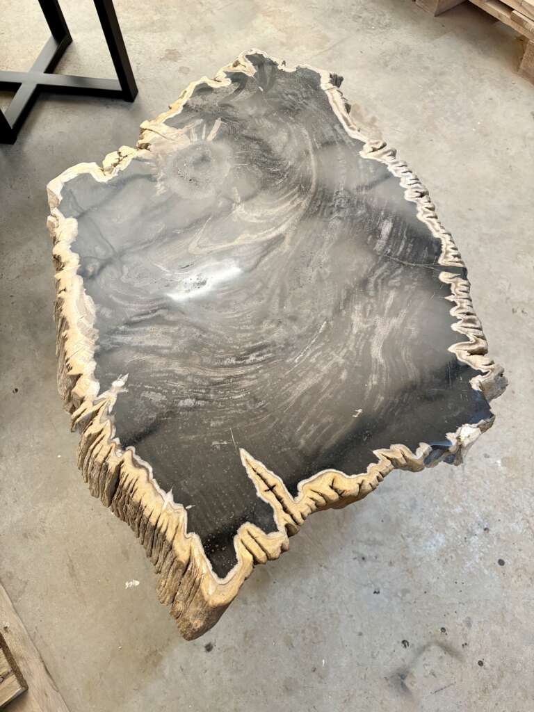 table basse en bois fossilisé